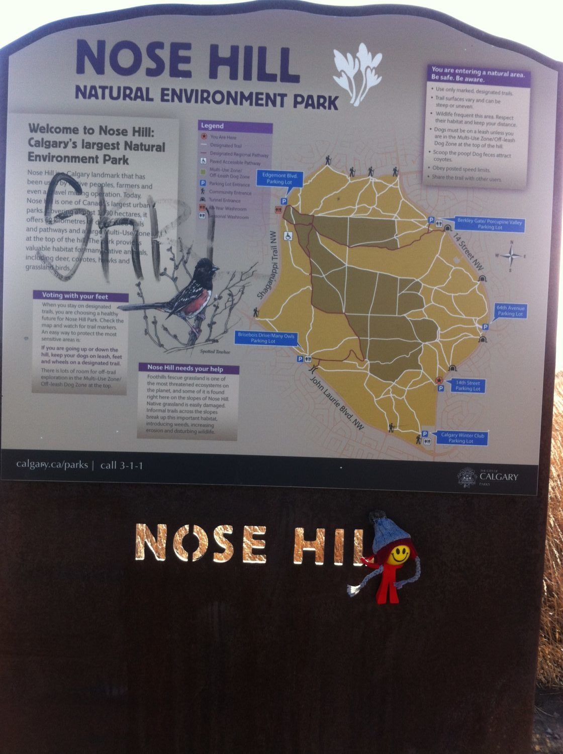 Nose Hill Park in Northwest Calgary - Tours and Activities