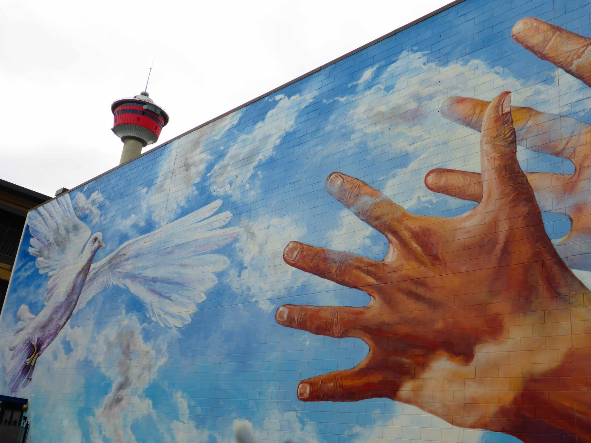 www.iamcalgary.ca I Am Calgary Wall Art Graffiti CPS Peace